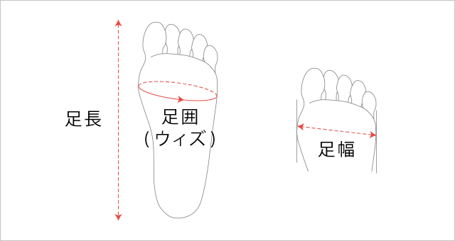 サクセスウォーク サイズの測り方