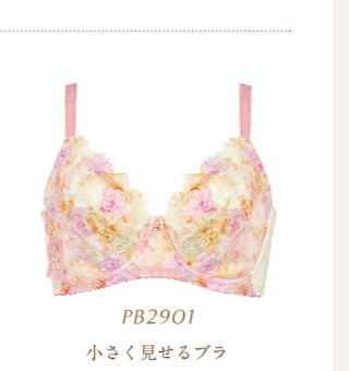 Bra PB2901