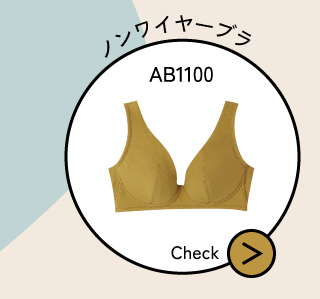 AB1100