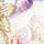 アイボリー（ＩＶ）