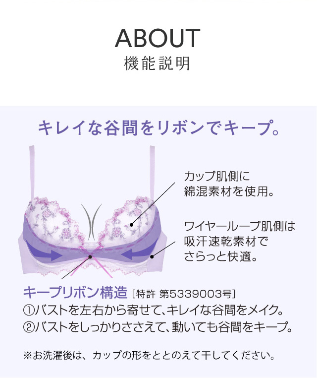 リボンブラ 機能説明