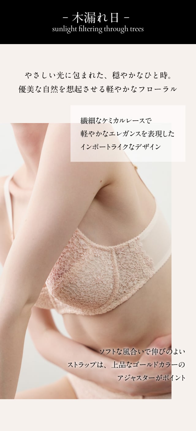 木漏れ日　BXC301