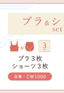 リンクボタン ブラ&ショーツセット CW1000