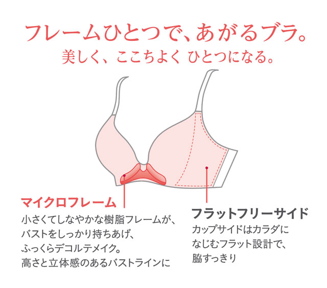 マイクロフレーム 機能説明