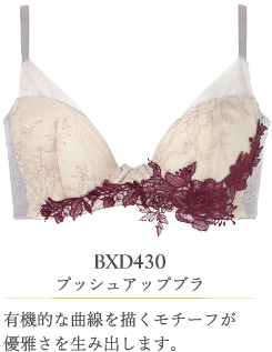 BXD430 プッシュアップブラ