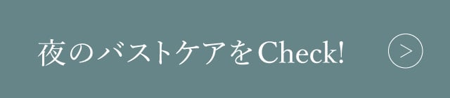 夜のバストケア リンクボタン