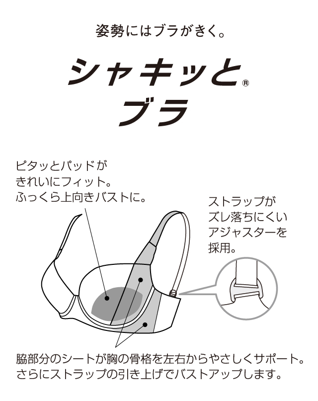 シャッキッとブラ 機能説明