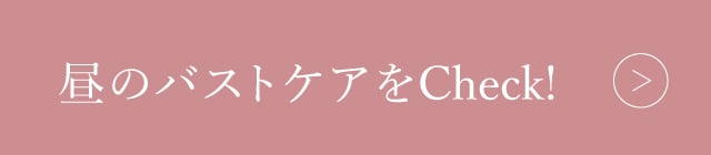 昼のバストケア リンクボタン