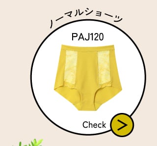 PAJ120