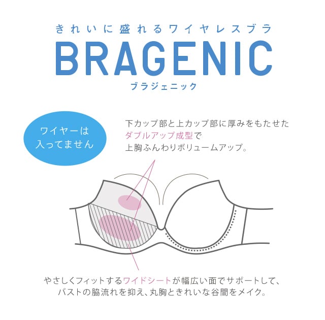BRAGENIC 機能図