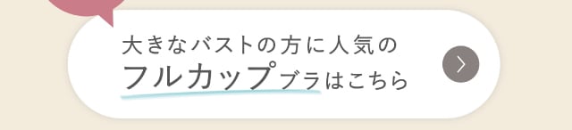 リンクボタン フルカップブラ