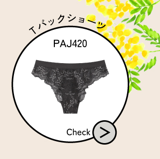 PAJ420