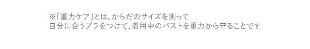 注釈