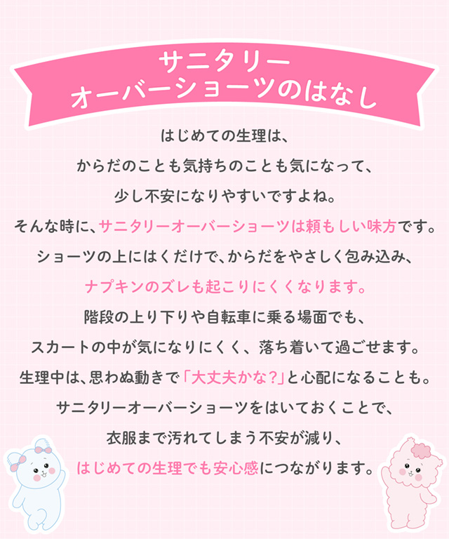 サニタリーオーバーショーツのはなし