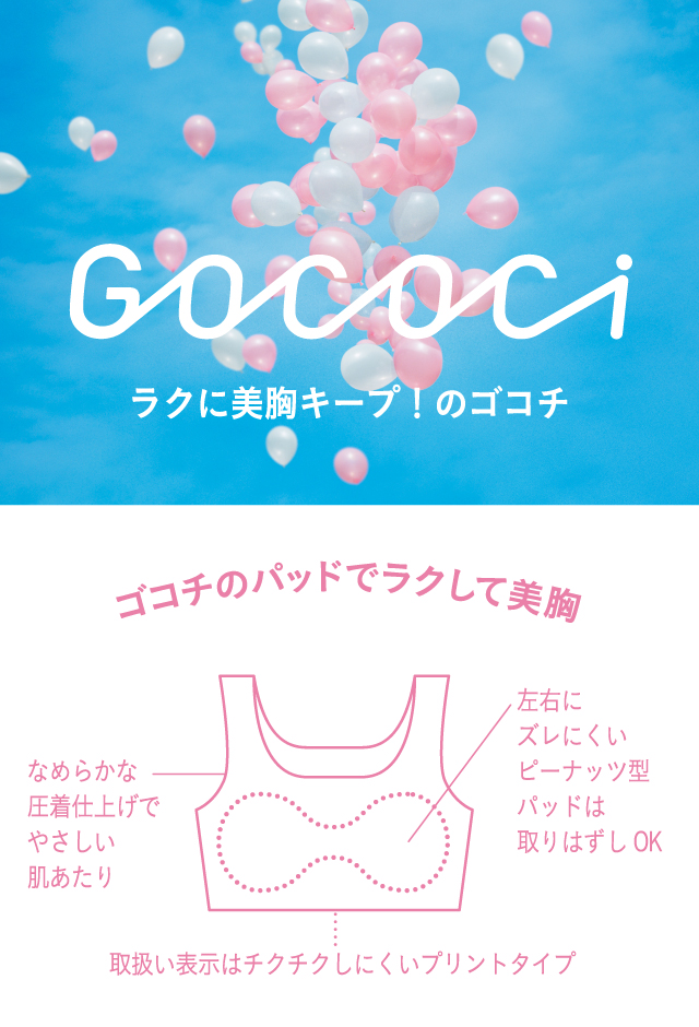 GOCOCI 機能説明