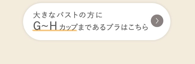 リンクボタン G～Hカップまであるブラ