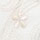 ＩＶ（ＩＶ）