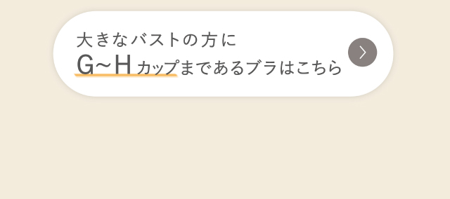 リンクボタン  G～Hカップまであるブラ