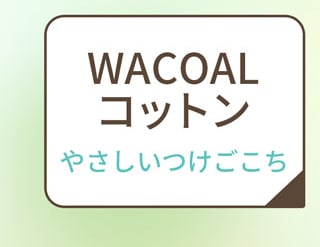 WACOALコットン　やさしいつけごこち