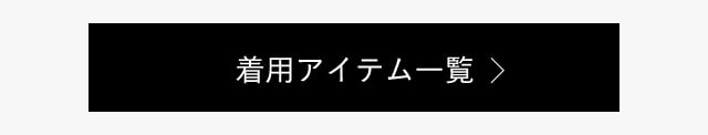 着用アイテム一覧