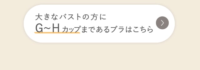 リンクボタン Gカップまであるブラ