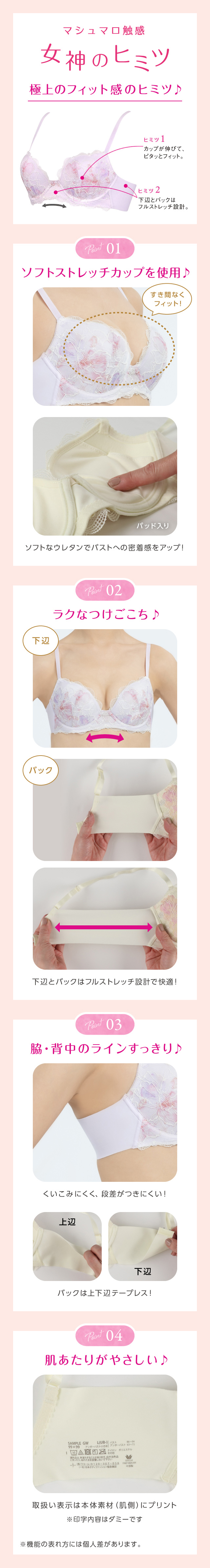 女神のヒミツ 機能説明