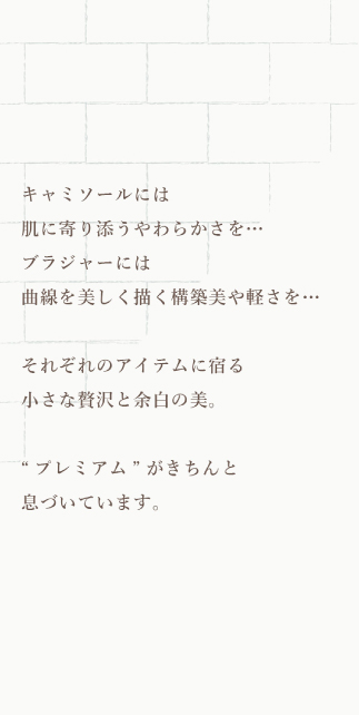 商品説明