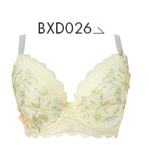 BXD026