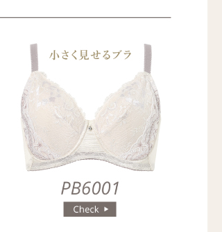 PB6001SP 6000series Bra