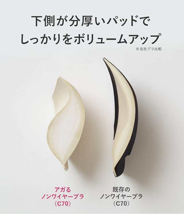 BPJ390