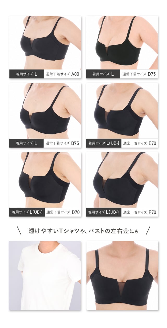 サイズ比較