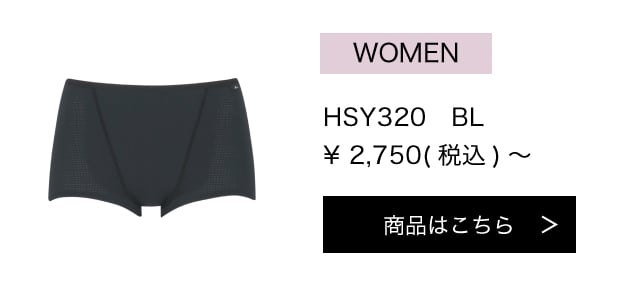 HSY320BL