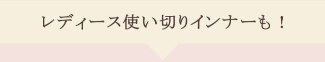 AnyAnyインナー 機能説明