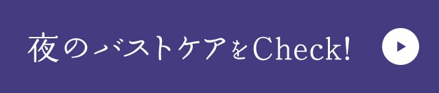 夜のバストケア リンクボタン
