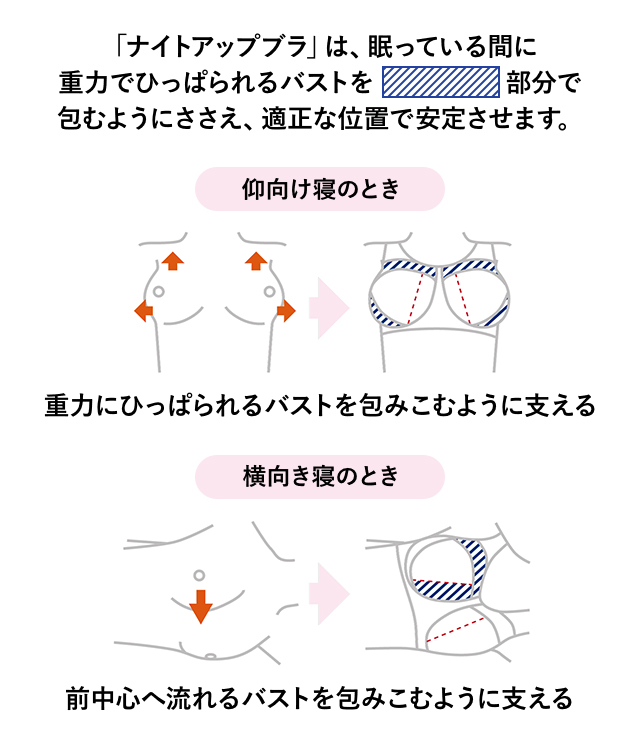 ナイトアップブラ 機能説明