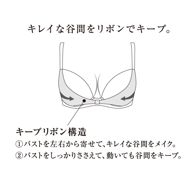 リボンブラ機能図