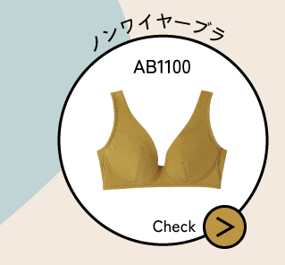 AB1100
