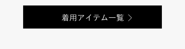 着用アイテム一覧