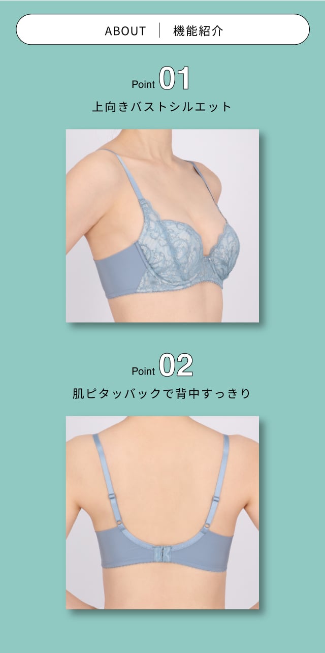 機能説明