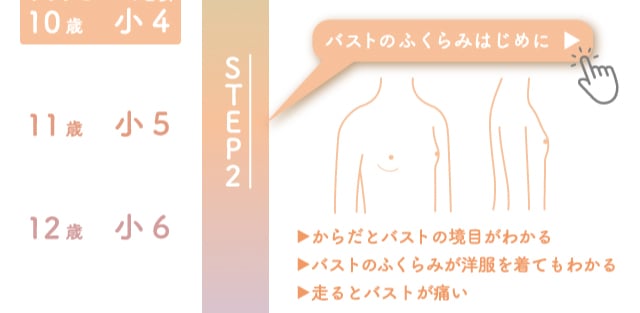 バストの成長ステップ2