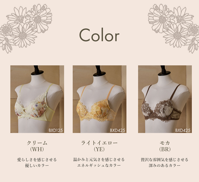 25グループカラーバリエーション