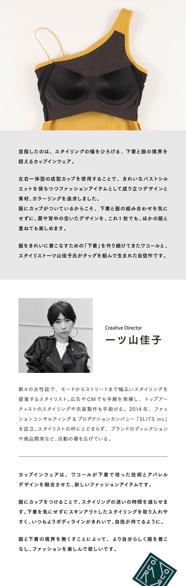 JCX243 機能説明