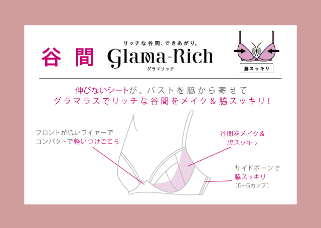 グラマリッチ 脇スッキリ 機能図