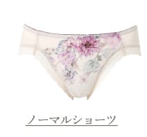 ノーマルショーツ