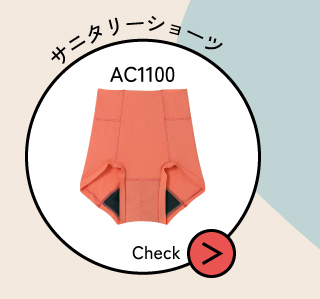 AC1100