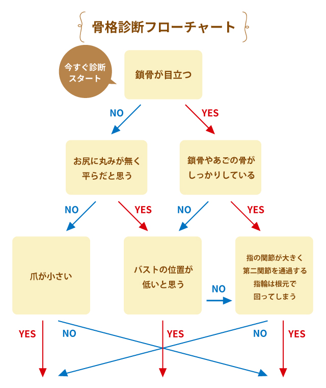 骨格診断フローチャート