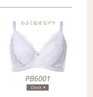PB6001VI 6000series Bra