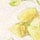 クリーム（ＢＥ）