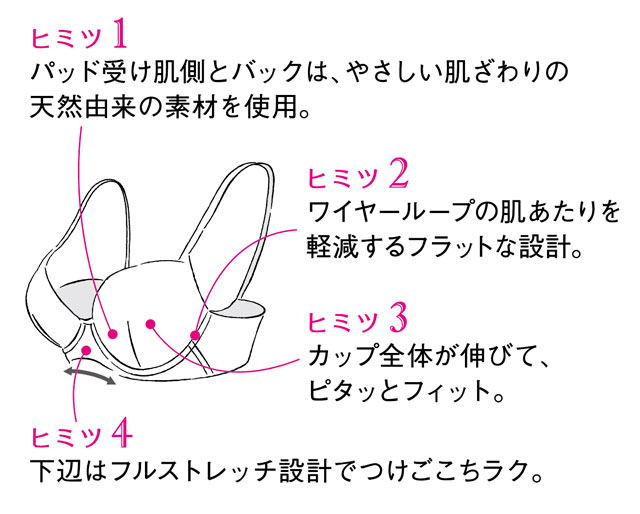 女神のヒミツ 機能図