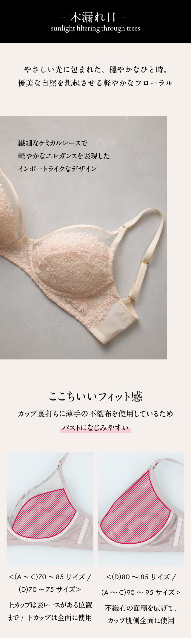 木漏れ日　BXC101
